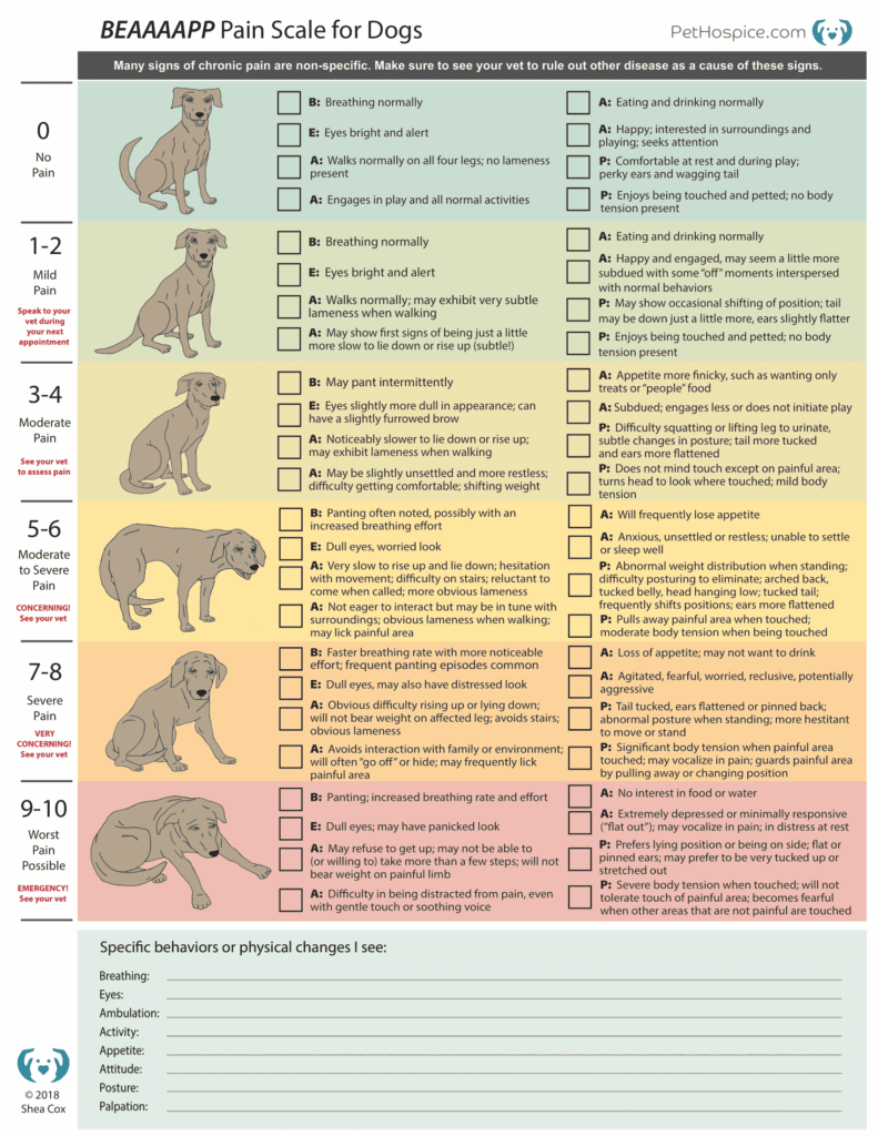 BEAAAAPP Pain Scale Dogs